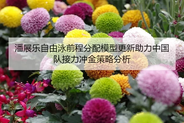 潘展乐自由泳前程分配模型更新助力中国队接力冲金策略分析