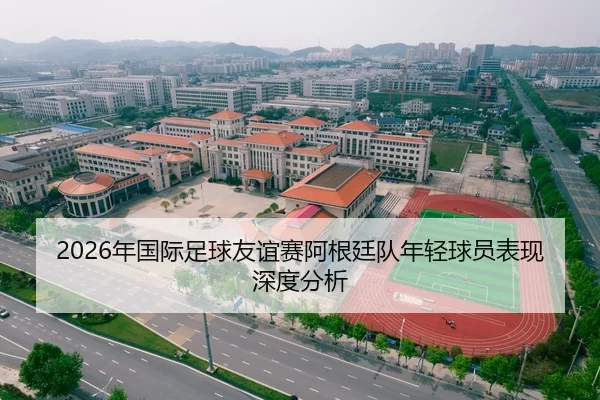 2026年国际足球友谊赛阿根廷队年轻球员表现深度分析