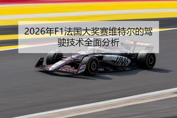 2026年F1法国大奖赛维特尔的驾驶技术全面分析