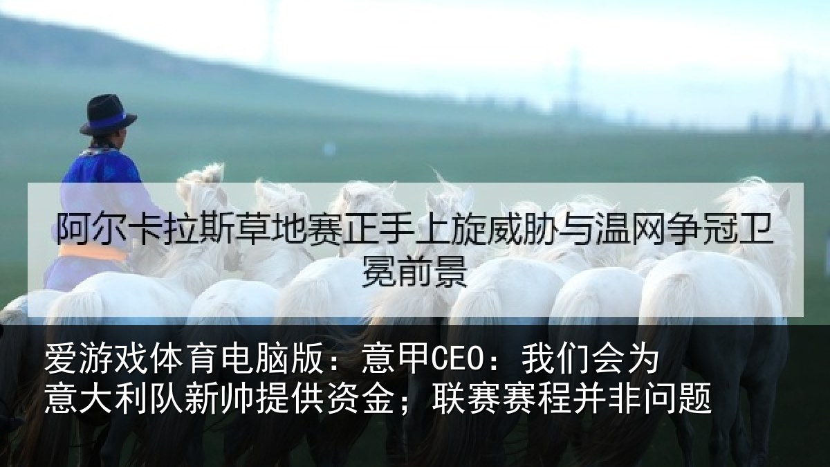 爱游戏体育电脑版:意甲CEO:我们会为意大利队新帅提供资金;联赛赛程并非问题