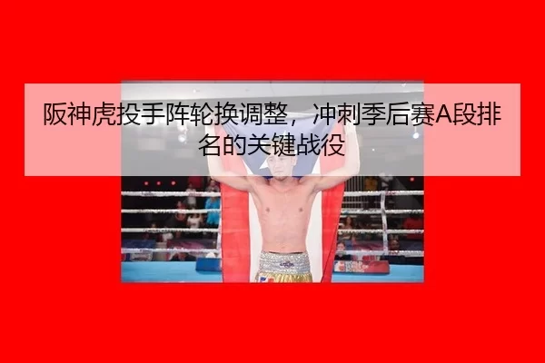 ban-shen-hu-tou-shou-zhen-lun-huan-tiao-zheng-chong-ci-ji-hou-sai-duan-pai-ming-de-guan-jian-zhan-yi-3-441.jpg