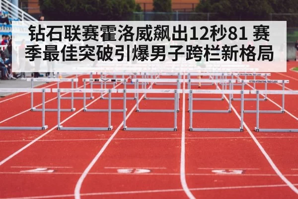 110m hurdles race